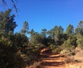 Sedona Hiking Trail Bell