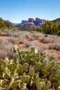 Sedona and Oak Creek Canyon Landscapes Royalty Free Stock Photo