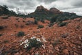 Sedona is a red rock city in Arizona, United States of America, red sandstone formations, travel USA, tourism, beautiful landscape Royalty Free Stock Photo