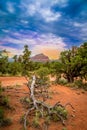 Sedona red rocks Royalty Free Stock Photo