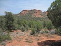 Sedona Red Rocks In Arizona Royalty Free Stock Photo