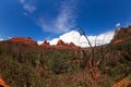 Sedona Red Rocks