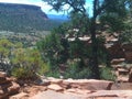 Sedona Red Rocks From Top Of Airport Road Royalty Free Stock Photo