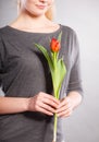 Seducive nerdy girl holding tulip Royalty Free Stock Photo