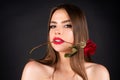 Seductive sensual woman holding red rose with teeth. Close-up portrait of young beautiful sexy woman with red rose Royalty Free Stock Photo