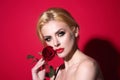 Seductive woman holding red rose. Beauty girl with red rose near face. Studio shot. Romantic sexy woman. Flowers for Royalty Free Stock Photo