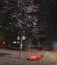 Sedum purple Mapple tree leaves in the autumn scene and red umbrella on the ground Royalty Free Stock Photo