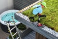 Sedum Roof Installation Performed by Professional Gardener