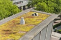 Sedum roof in Rotterdam Royalty Free Stock Photo