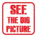 See the big picture Royalty Free Stock Photo