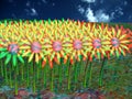 images with red green glasses sunflower field