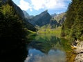 Seealpsee lake view