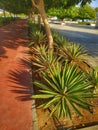 Seeb beach walking park, Muscat Oman Royalty Free Stock Photo