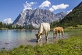 Seebensee lake in Tyrol Royalty Free Stock Photo