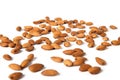 Seed of almonds nuts