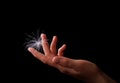 Seed of dandelion type is falling onto woman's finger