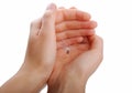 Seed of dandelion type under woman's hand protection