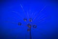 The seed of a dandelion with water drop inside on a dark blue background Royalty Free Stock Photo