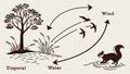 Seed Dispersal by Wind, Water, and Animals, vector design Generative AI Royalty Free Stock Photo
