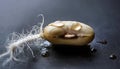 Seed of Firefly Brassica with Root and Water Droplets Showcasing Germination Process Royalty Free Stock Photo