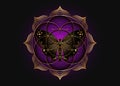 Seed Flower of life lotus icon and black magical butterfly, yantra mandala sacred geometry, golden symbol of harmony and balance.