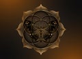 Seed Flower of life lotus icon and black magical butterfly, yantra mandala sacred geometry, golden symbol of harmony and balance