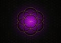 Seed Flower of life lotus icon magical purple yantra mandala sacred geometry, golden symbol of harmony and balance. Mystical logo
