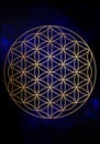 Seed Flower of life lotus icon, yantra mandala sacred geometry, golden symbol of harmony and balance. Blue color Mystical talisman