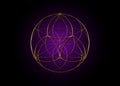 Seed Flower of life lotus icon, yantra mandala sacred geometry, golden symbol of harmony and balance. Purple color Mystical LOGO