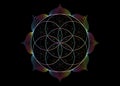 Seed Flower of life lotus icon, yantra mandala sacred geometry, spectrum psychedelic symbol of harmony and balance. Mystical sign