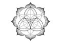 Seed Flower of life lotus icon, yantra mandala sacred geometry, tattoo symbol of harmony and balance. Mystical talisman, black