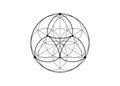 Seed Flower of life lotus icon, yantra mandala sacred geometry, tattoo symbol of harmony and balance. Mystical talisman, black