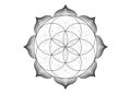 Seed Flower of life lotus icon, yantra mandala sacred geometry, tattoo symbol of harmony and balance. Mystical talisman black sign