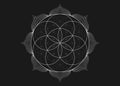 Seed Flower of life lotus icon, yantra mandala sacred geometry, tattoo symbol of harmony and balance. Mystical talisman white line