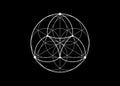 Seed Flower of life lotus icon, yantra mandala sacred geometry, tattoo symbol of harmony and balance. Mystical talisman white line