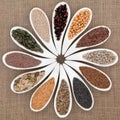 Seed Food Sampler