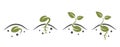 seed germination icon set. sprouting, planting, seedling and agriculture symbol. isolated vector image