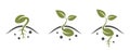 seed germination icon. sprouted seed, seedling and planting symbol. isolated vector image