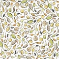 Seed growing seamless pattern - vector illustration. Background. Microgreens in sketch and freehand style. Soybean