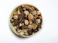 Seed Horse radish tree or Drumstick or Moringa (Moringa oleifera) dried seeds