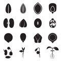 Seed icon set, which represents the most common types of crop seeds