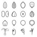 Seed icon set, which represents the most common types of crop seeds Royalty Free Stock Photo