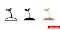 Seed icon of 3 types. Isolated vector sign symbol. Royalty Free Stock Photo