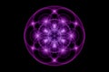 Seed of life, Sacred Geometry, Flower of Life, light logo Symbol of Harmony and Balance, Glowing Geometrical Ornament purple lotus