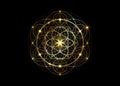 Seed of life symbol Sacred Geometry. Geometric mystic mandala of alchemy esoteric Flower of Life. Gold luxury design, vector