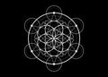Seed of life symbol Sacred Geometry. Geometric mystic mandala of alchemy esoteric Flower of Life. Vector white divine meditative