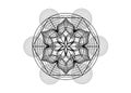 Seed of life symbol Sacred Geometry. Logo icon Geometric mystic mandala of alchemy esoteric Flower of Life. Vector black lines Royalty Free Stock Photo