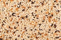 Seed mixture background. Pet food for birds Royalty Free Stock Photo