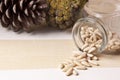 Seed pine nut Royalty Free Stock Photo