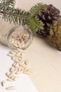 Seed pine nut Royalty Free Stock Photo